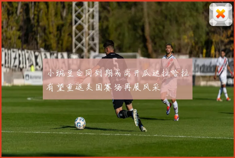 小豌豆合同到期或离开瓜达拉哈拉有望重返美国赛场再展风采