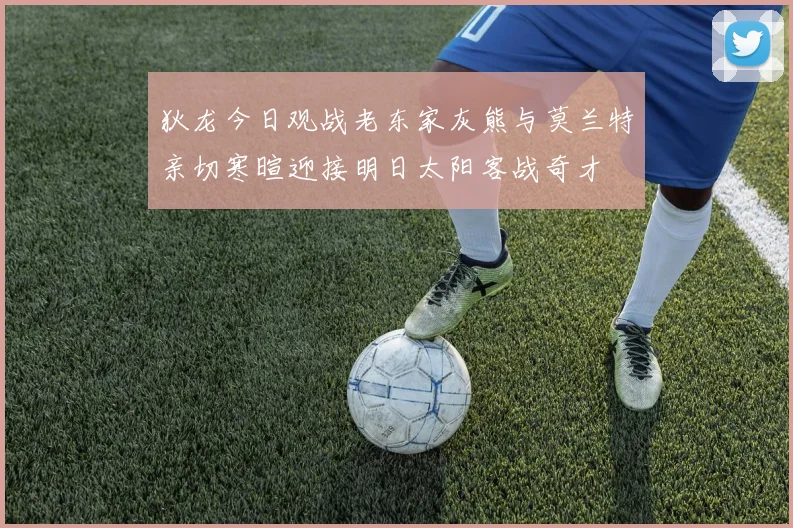 狄龙今日观战老东家灰熊与莫兰特亲切寒暄迎接明日太阳客战奇才